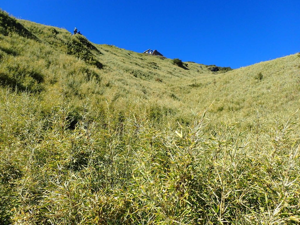 PC132028.JPG - 合歡山  東峰