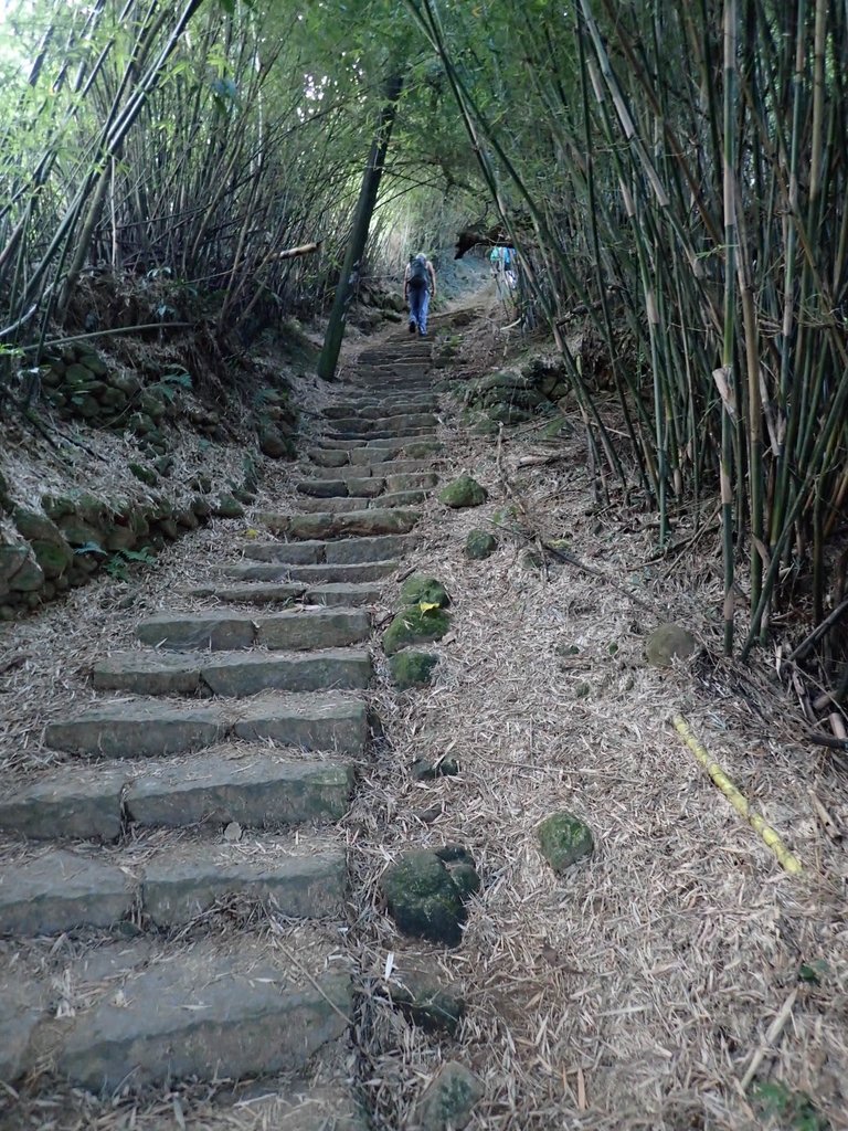 P9238162.JPG - 北投  面天山  向天湖步道