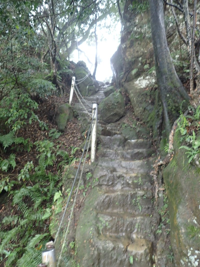 P1062048.JPG - 土城  天上山  登山步道