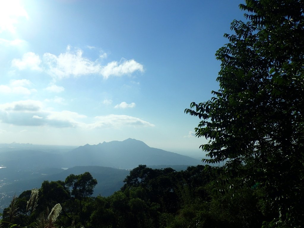 PB247275.JPG - 北投  中正山登山步道 01