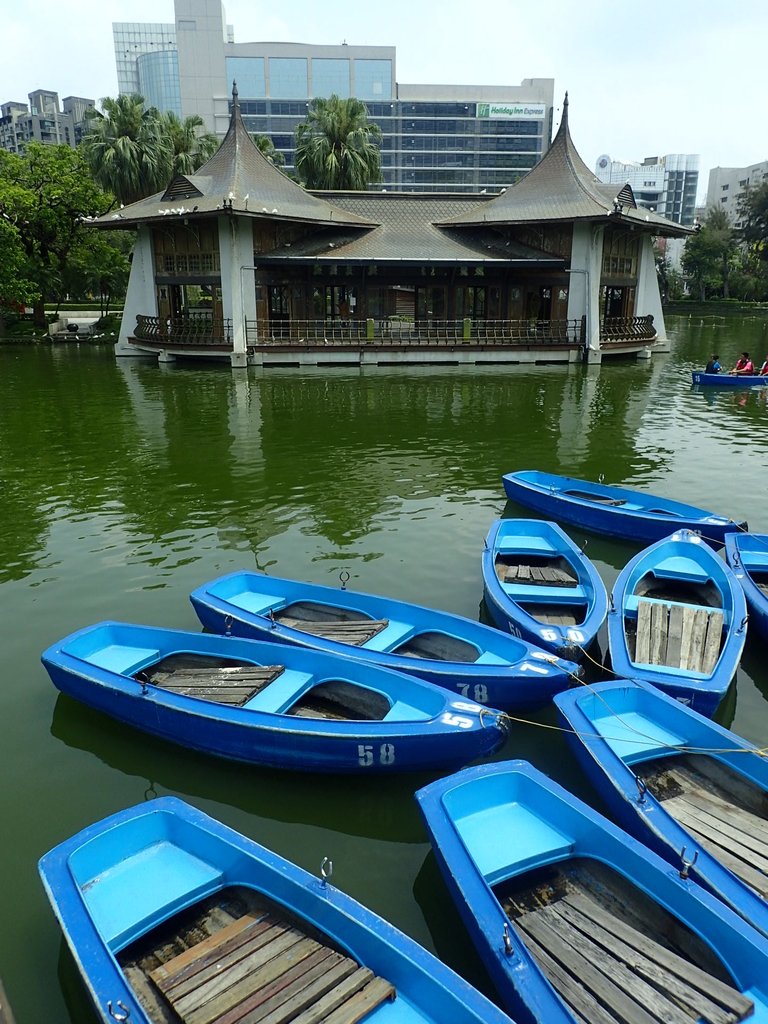 P4225076.JPG - 散步  台中公園一隅