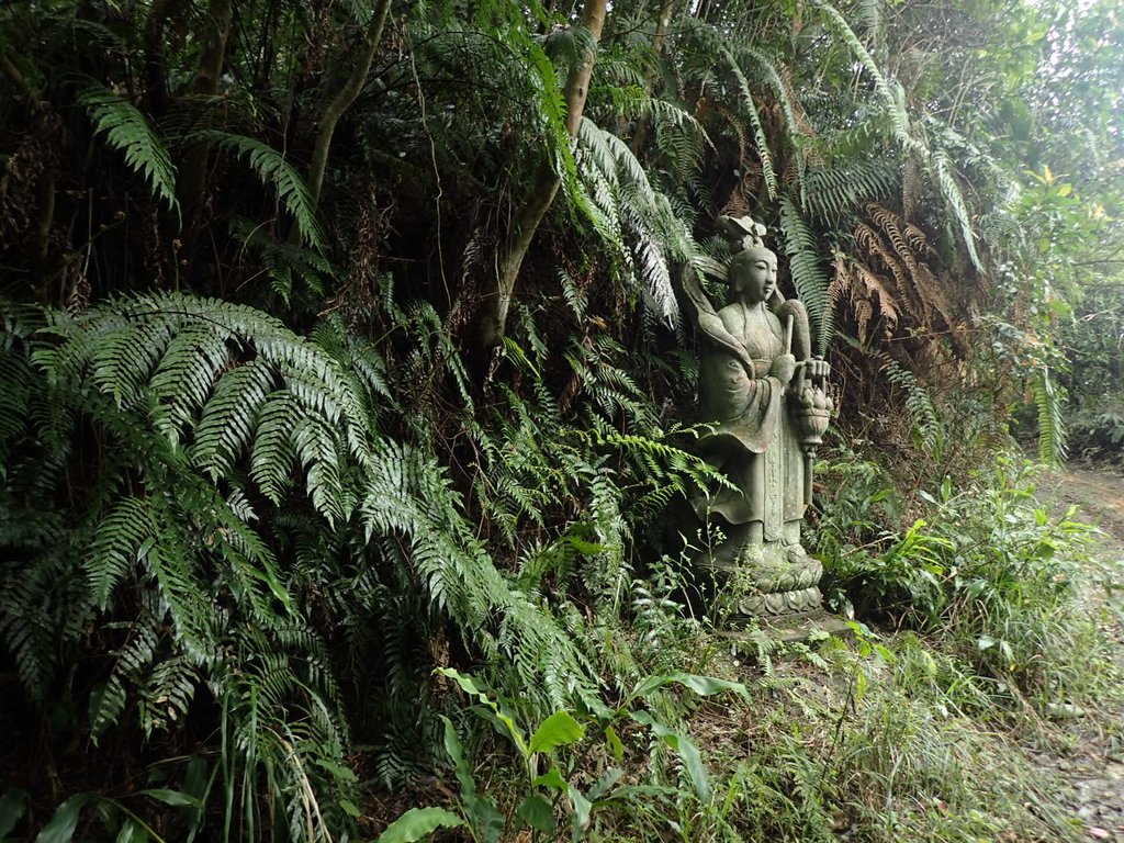 P2288667.JPG - 內湖  大崙頭山