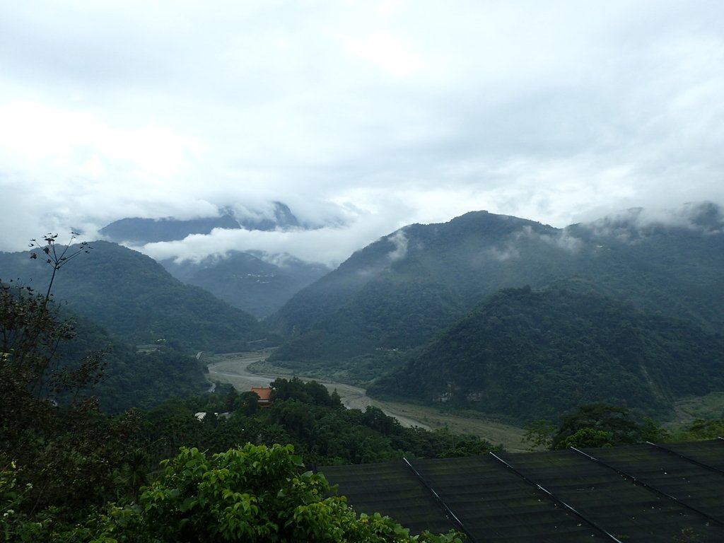 PA231633.JPG - 草嶺  茄苳步道  峭壁雄風