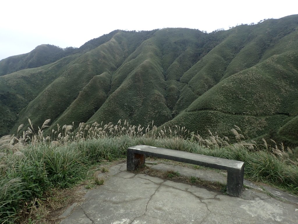 PB159033.JPG - 礁溪  聖母登山步道  (抹茶山)