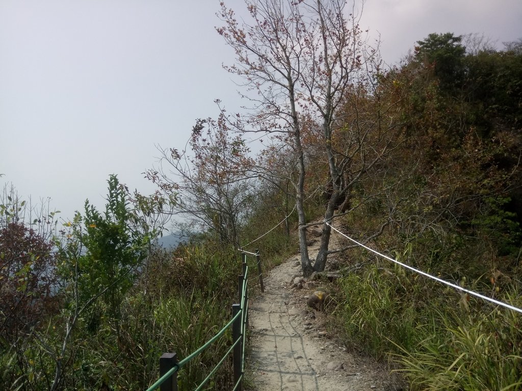 DSC_7318.JPG - 草屯平林  九九峰森林步道