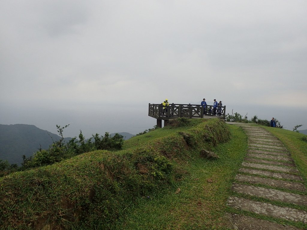 P5258742.JPG - 貢寮  桃源谷  灣坑頭山