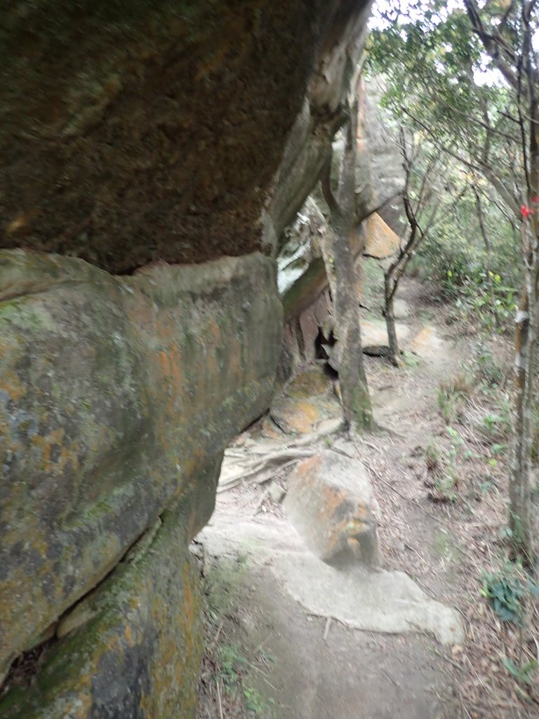 P3160077.JPG - 汐止  柯子林山  如意湖