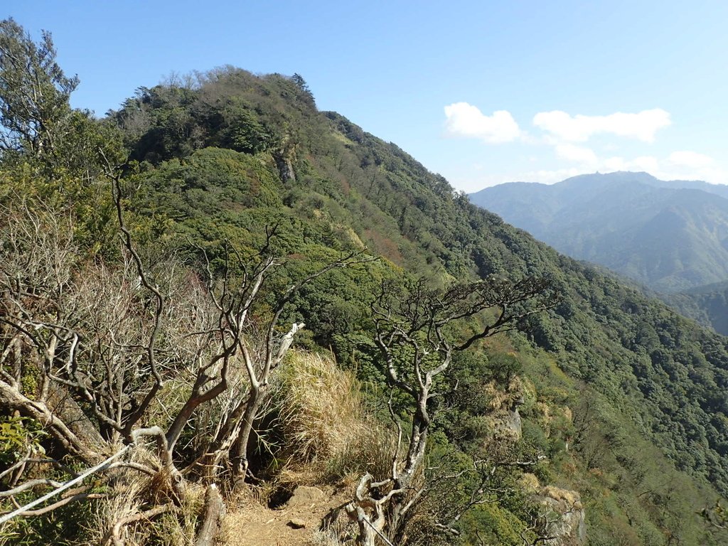 P2034814.JPG - 南庄  加里山