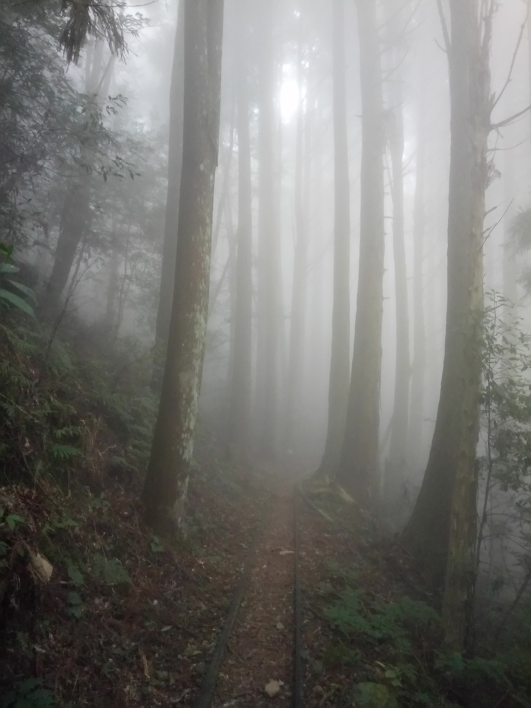 DSC_3788.JPG - 南庄  加里山  森林鐵道