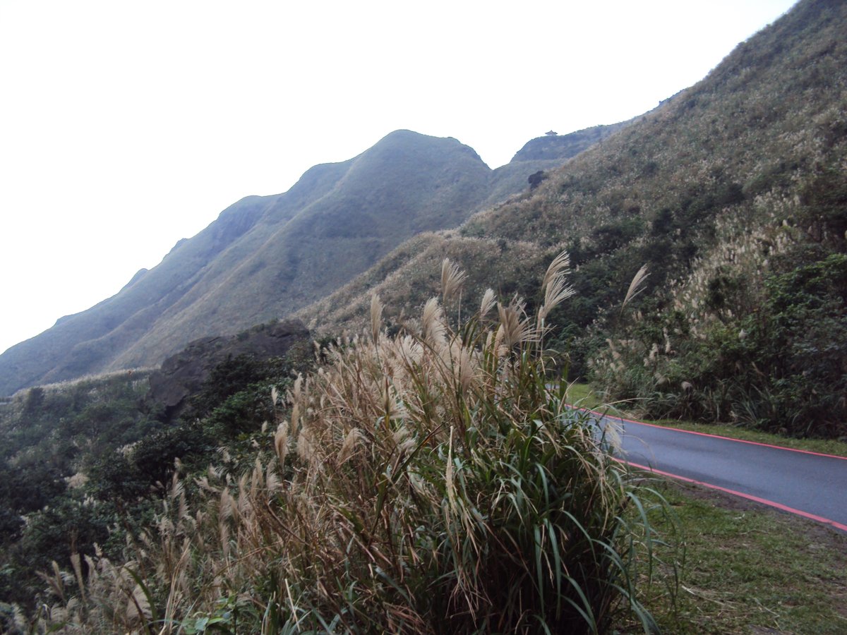 DSC03169.JPG - 無耳茶壺山產業道路