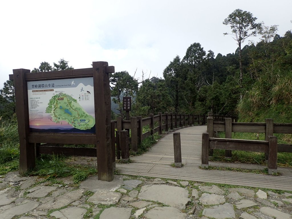 P8226860.JPG - 太平山  翠峰湖