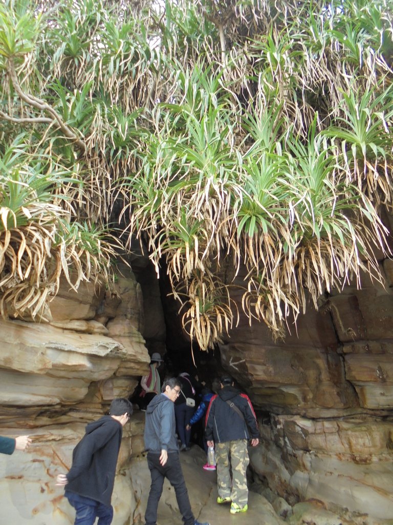 DSC01681.JPG - 金山  獅頭山  神秘海岸