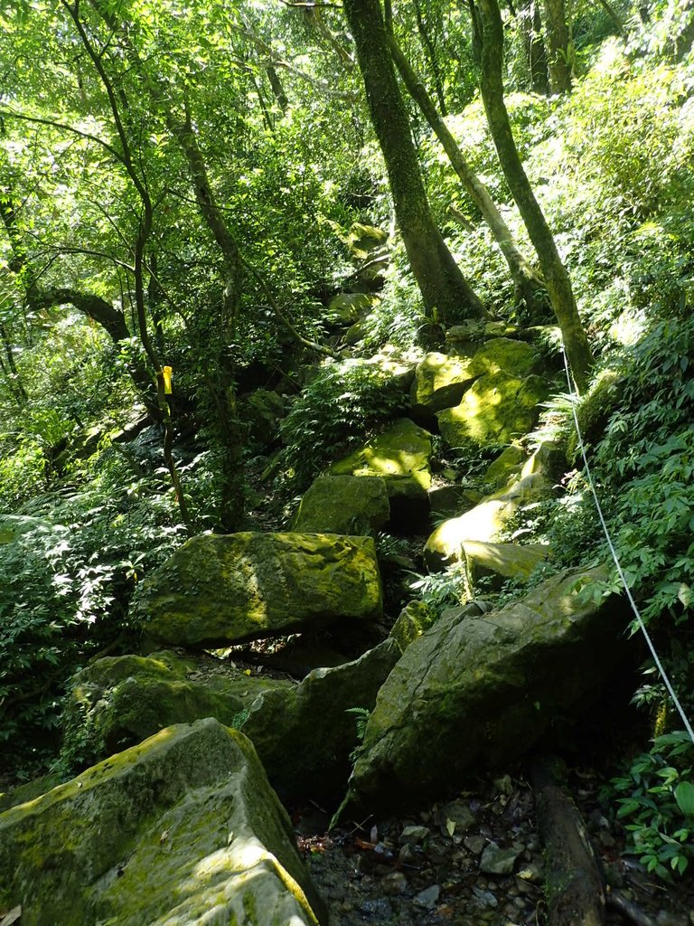 P7296119.JPG - 金山  竹子山古道  阿里磅瀑布