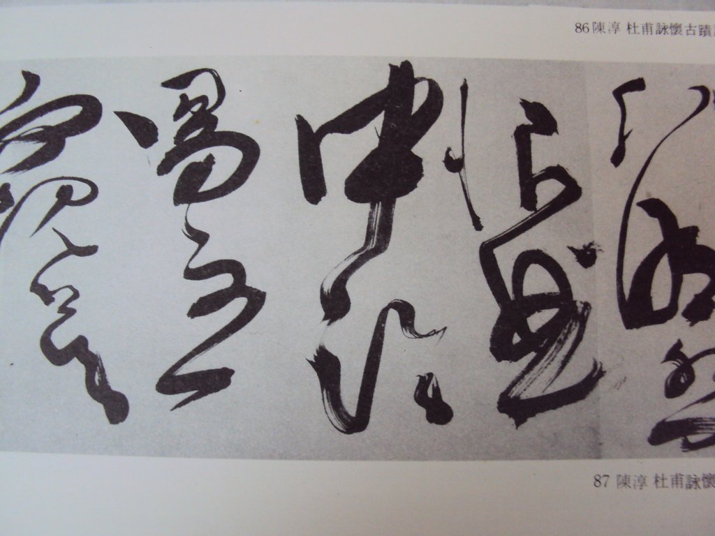 DSC00230.JPG - 陳淳的草書作品