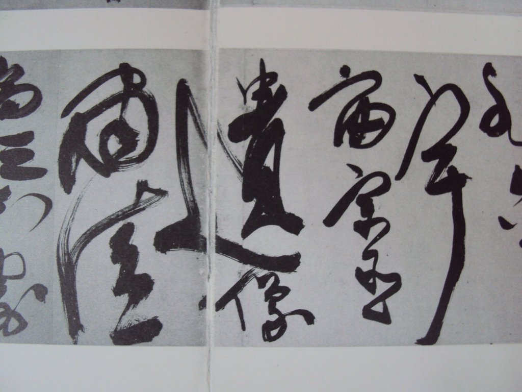 DSC09998.JPG - 陳淳的草書作品