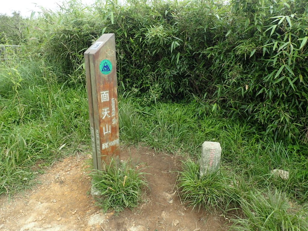 P9238248.JPG - 北投  面天山  向天湖步道