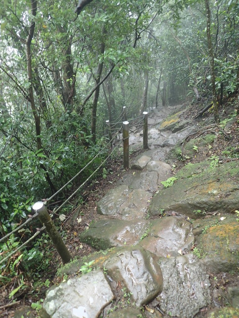 P1062072.JPG - 土城  天上山  登山步道