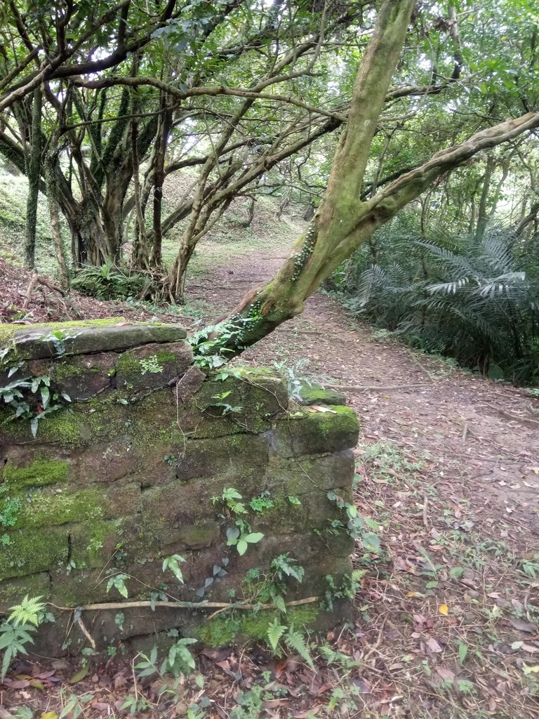 DSC_9334.JPG - 基隆  五坑山  總督嶺步道