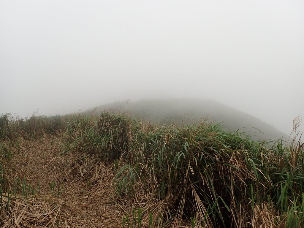 P1203500.JPG - 瑞芳  牡丹山