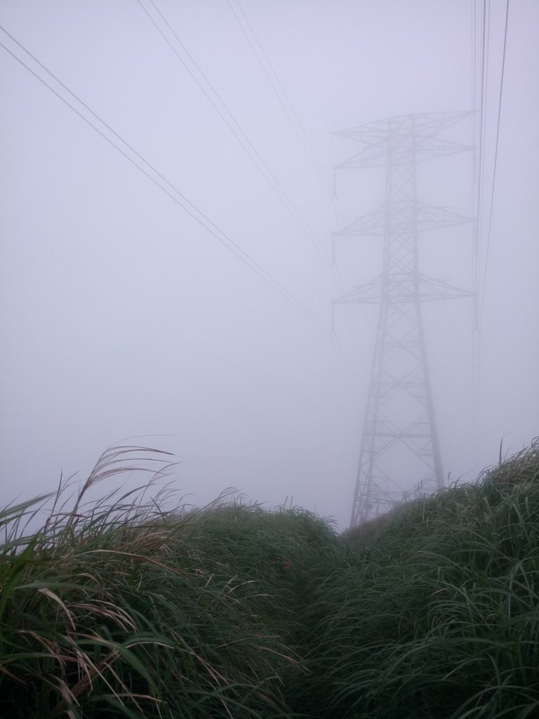 DSC_2835.JPG - 瑞芳  牡丹山