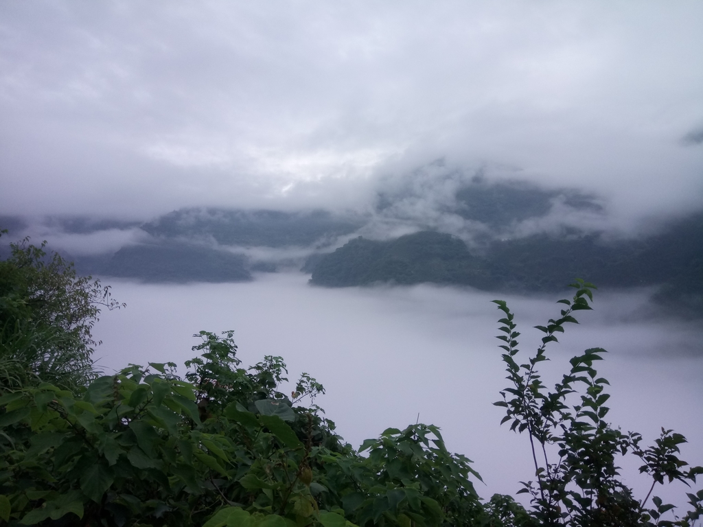 DSC_1137.JPG - 古坑  草嶺  雲山繚繞