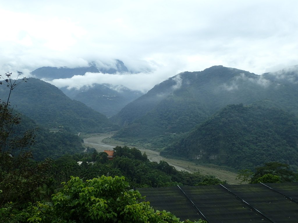 PA231634.JPG - 草嶺  茄苳步道  峭壁雄風