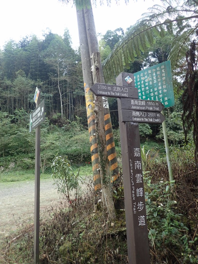 PA231795.JPG - 石壁山  嘉南雲峰步道