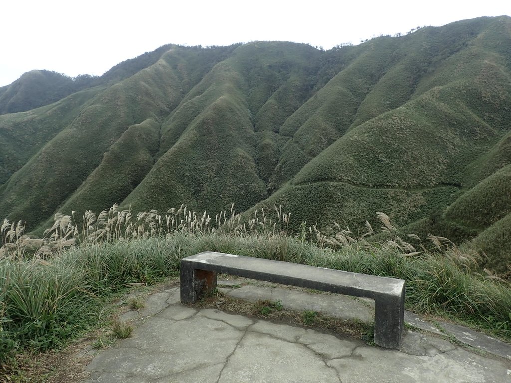 PB159034.JPG - 礁溪  聖母登山步道  (抹茶山)