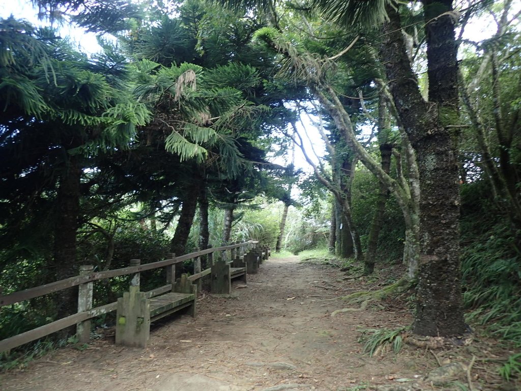 PA064454.JPG - 大湖  馬那邦山  (03)