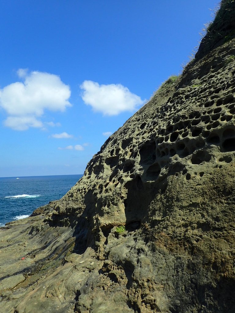 PA115134.JPG - 東北角海岸岩石之美  (05)