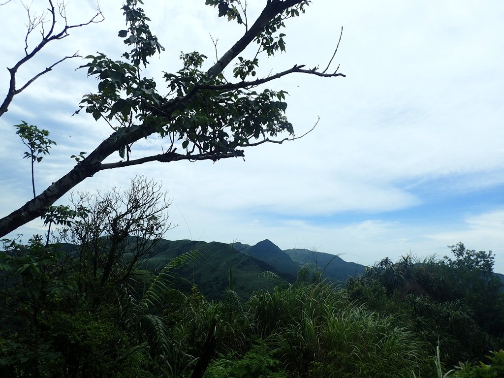 P6090338.JPG - 瑞芳  三貂嶺山  三貂大崙