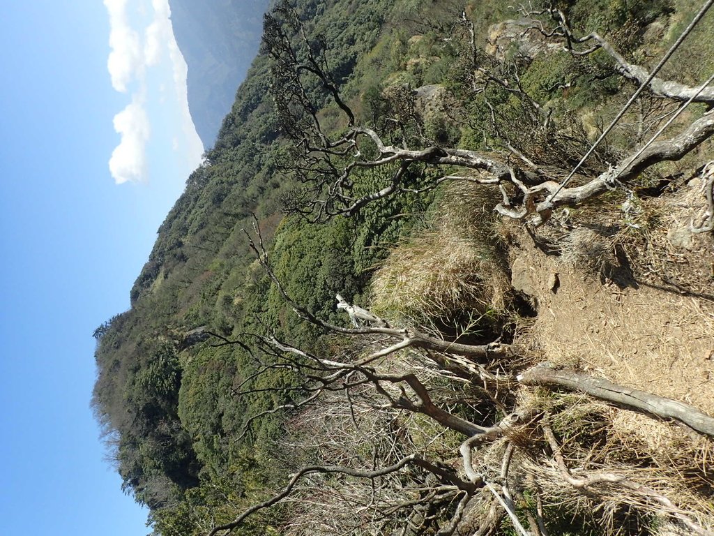 P2034816.JPG - 南庄  加里山