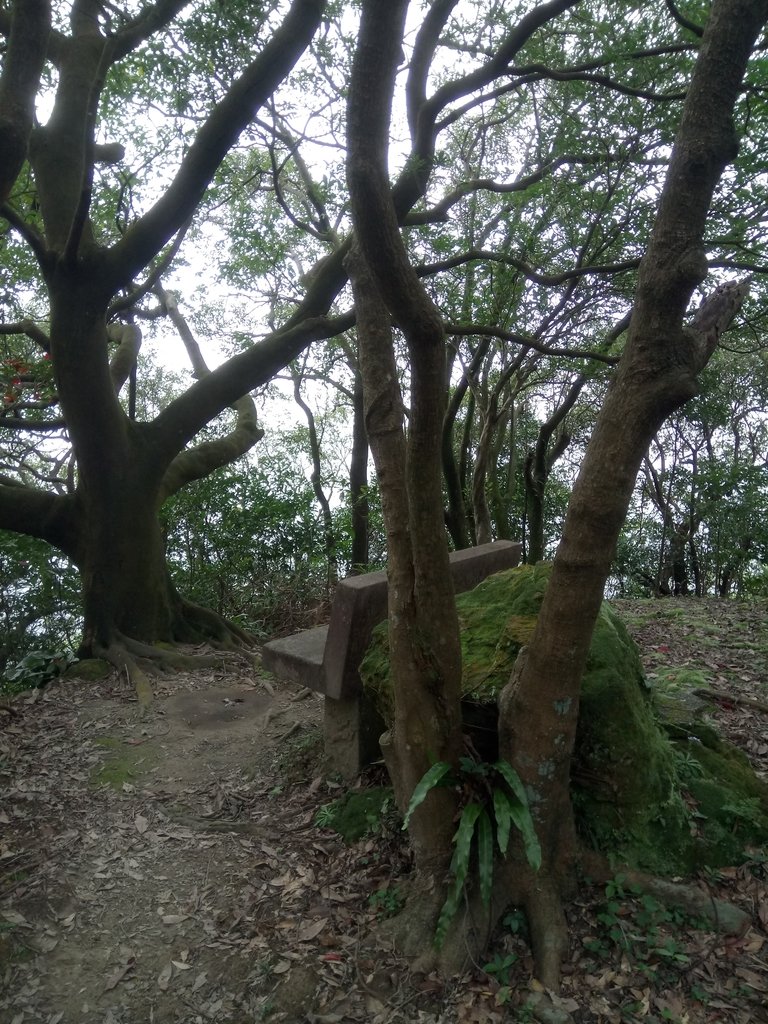 DSC_5350.JPG - 秀崎山  瑞芳山  龍潭山