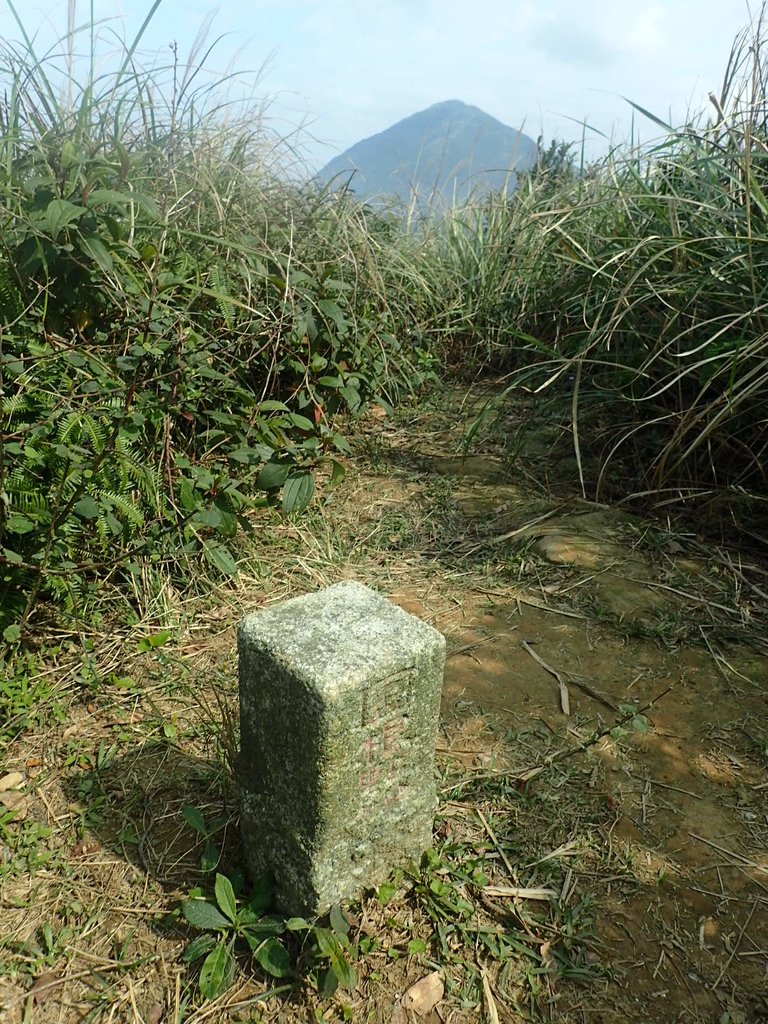 P2145406.JPG - 秀崎山  瑞芳山  龍潭山