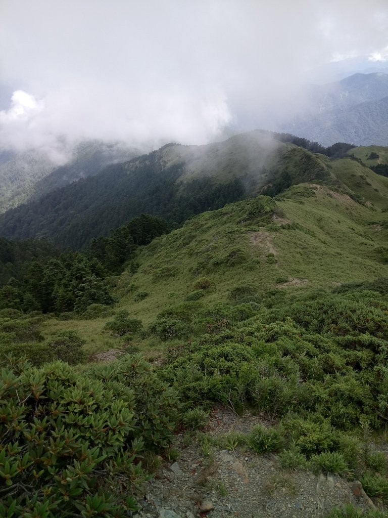 DSC_5405.JPG - 合歡山  北峰之美  (中)