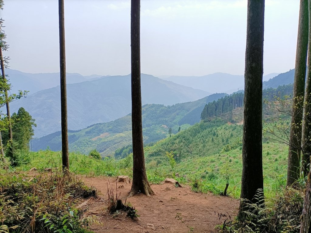 IMG20210403114133.jpg - 五峰  鵝公髻山登山步道  (02)