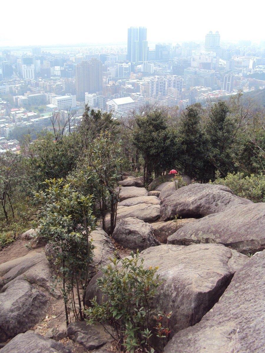 DSC06694.JPG - 內湖  金面山步道