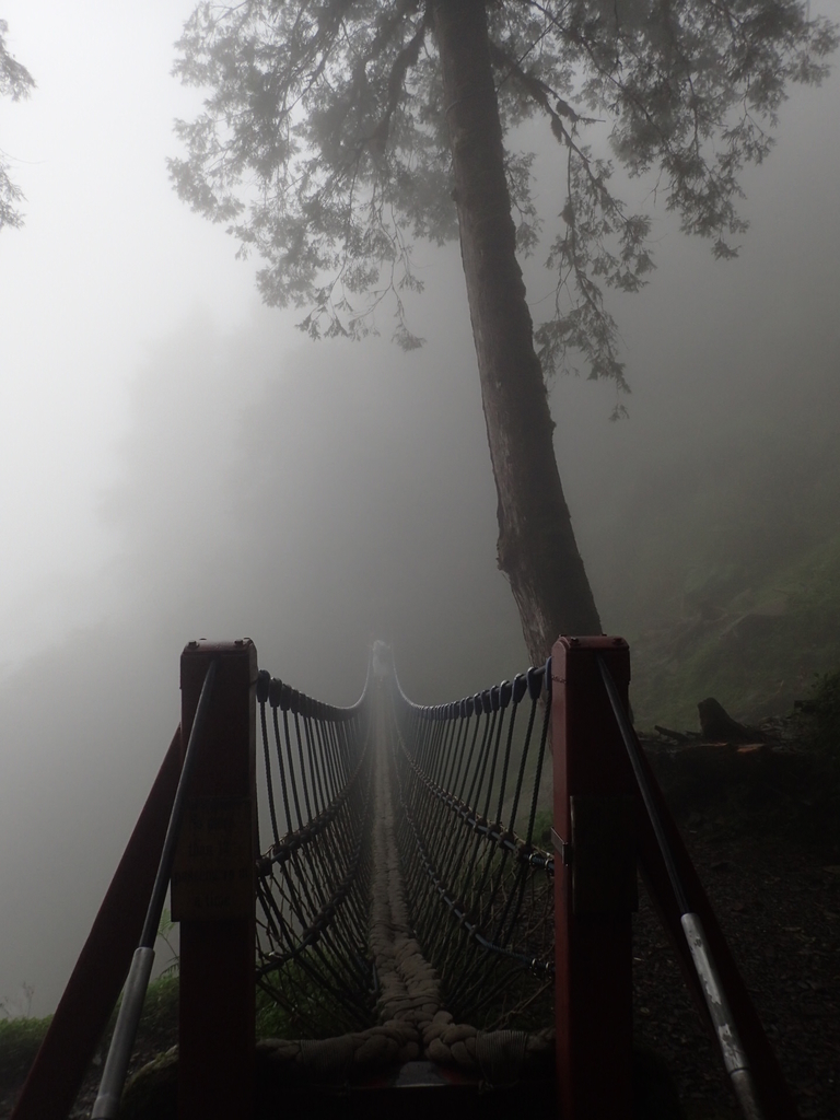 P8226816.JPG - 太平山 見晴懷古步道