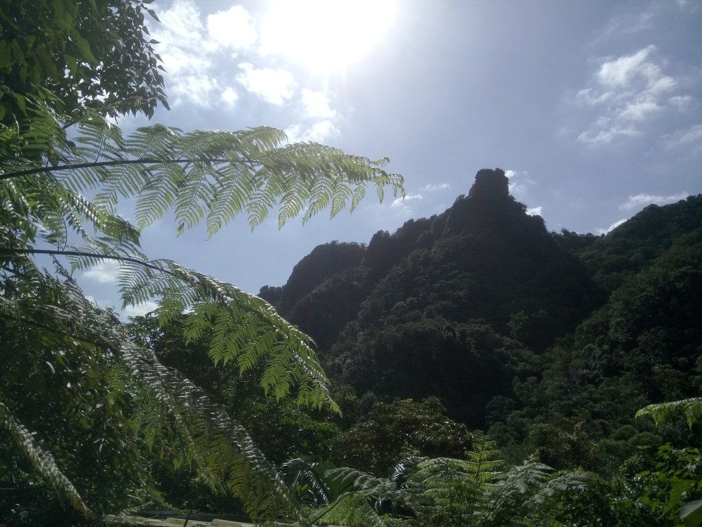 DSC_8363.JPG - 侯硐  獅子嘴奇岩