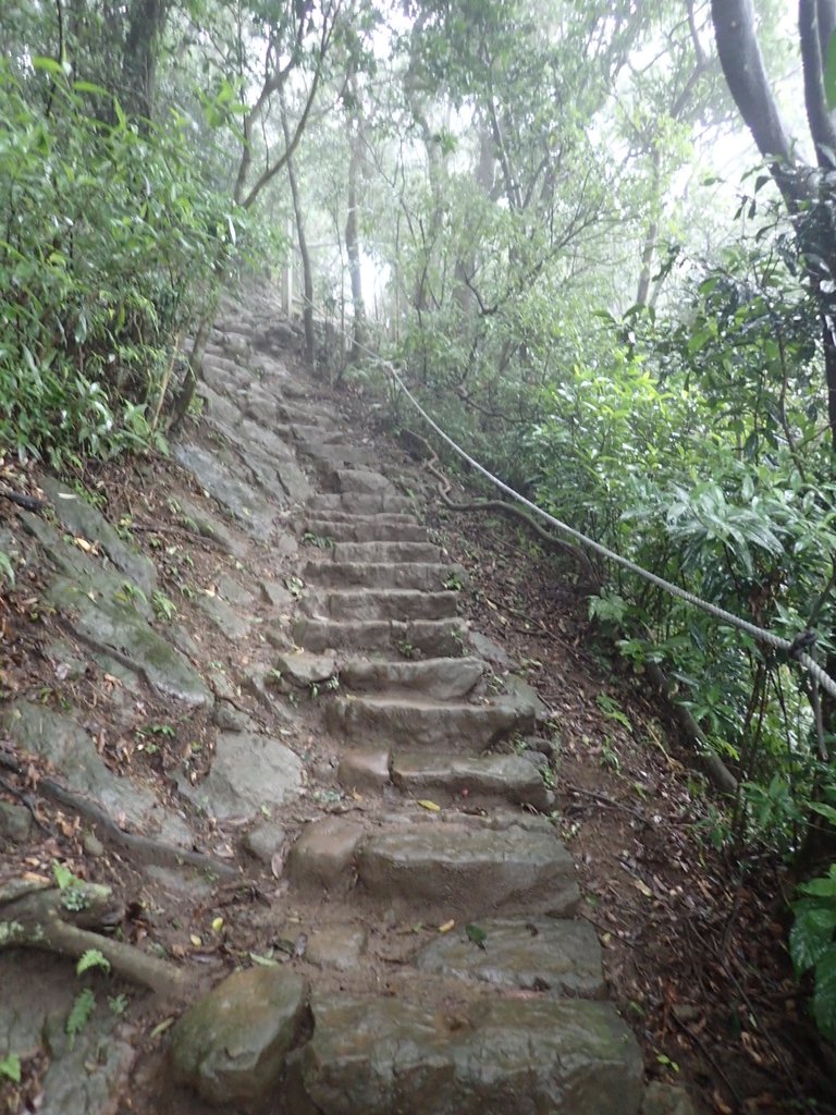 P1062060.JPG - 土城  天上山  登山步道