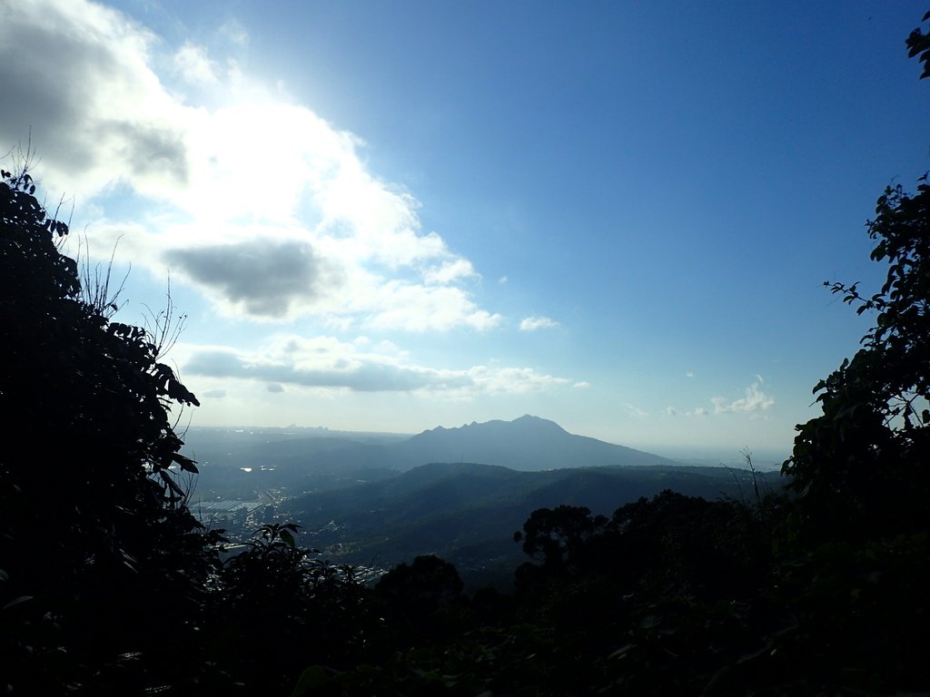 PB247278.JPG - 北投  中正山登山步道 01