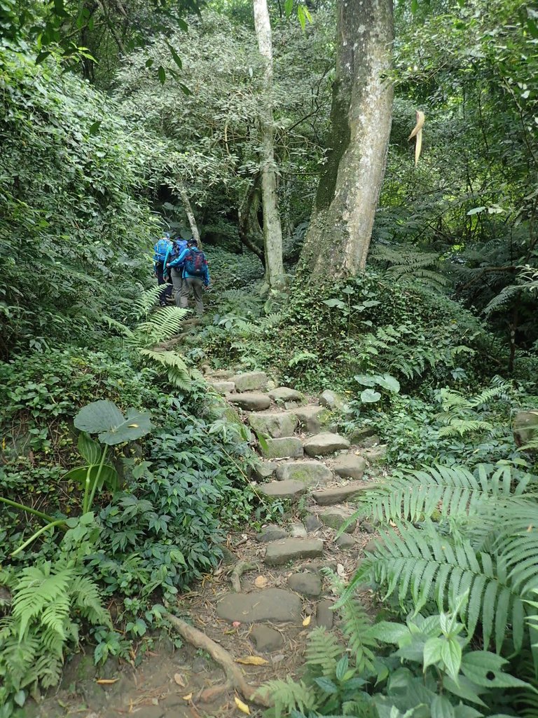 P2107472.JPG - 大溪  溪洲山登山步道