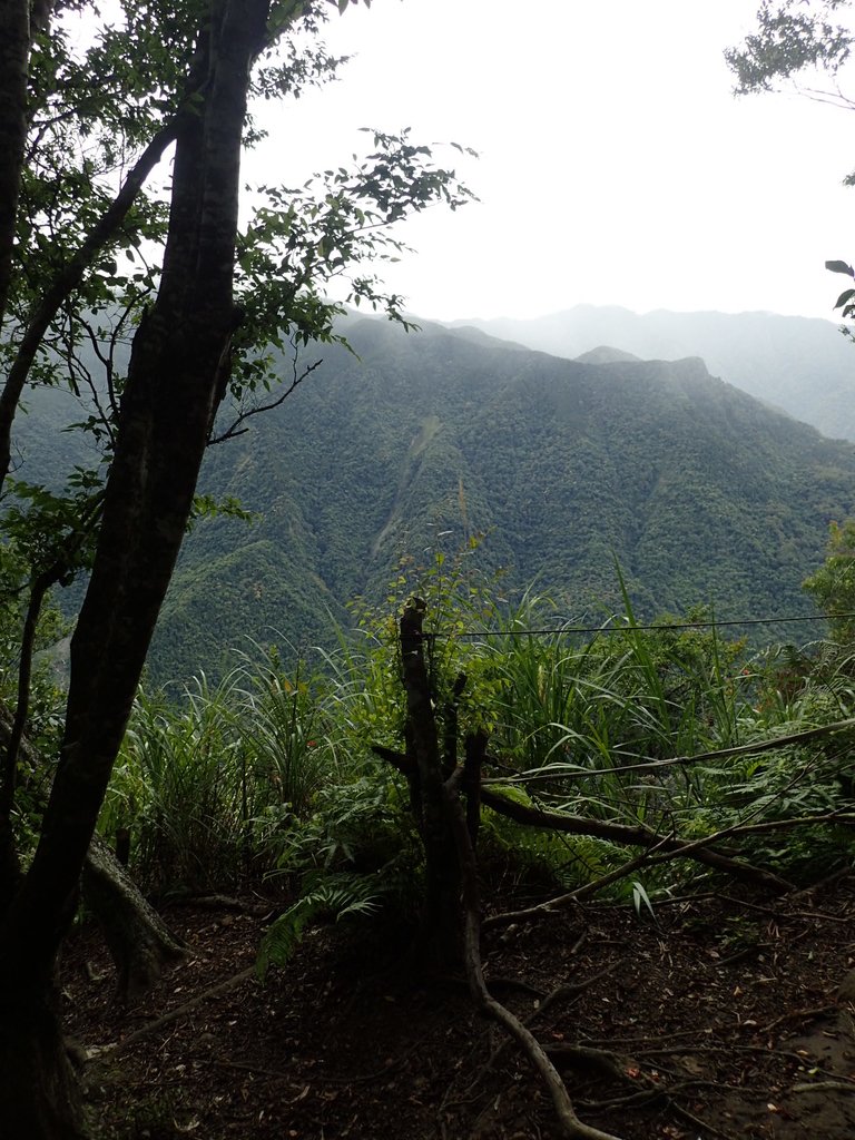 P8287302.JPG - 苗栗  泰安  虎山行