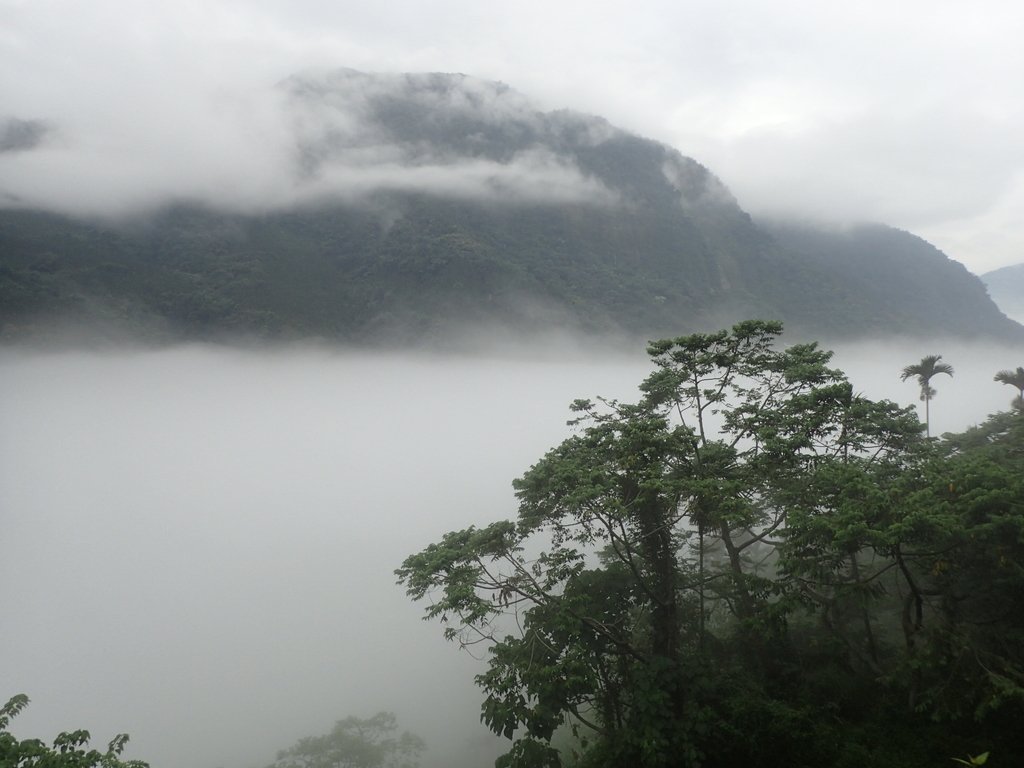 PA231549.JPG - 古坑  草嶺  雲山繚繞