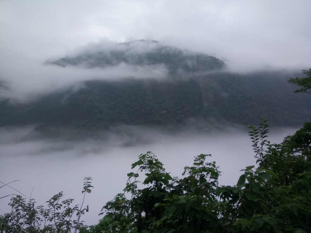 DSC_1139.JPG - 古坑  草嶺  雲山繚繞