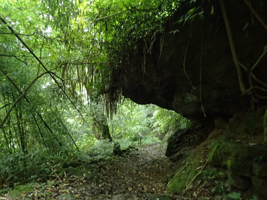 PA231750.JPG - 石壁山  嘉南雲峰步道