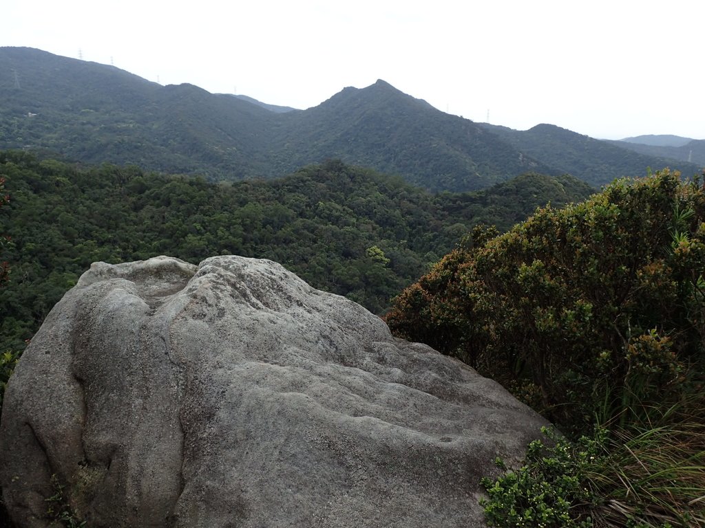 P3160085.JPG - 汐止  柯子林山  如意湖