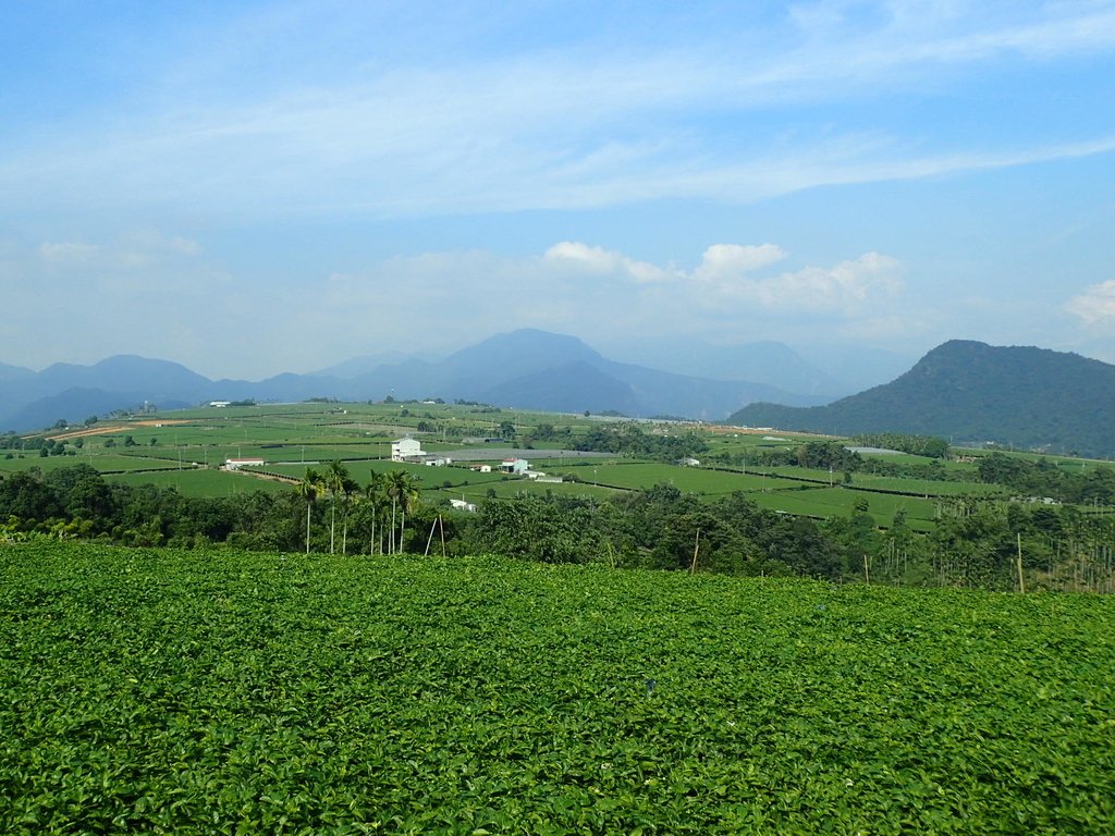 PA282145.JPG - 埔里  大坪頂  百香果園