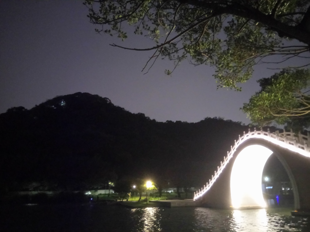 DSC_9313.JPG - 內湖  大湖公園之夜色