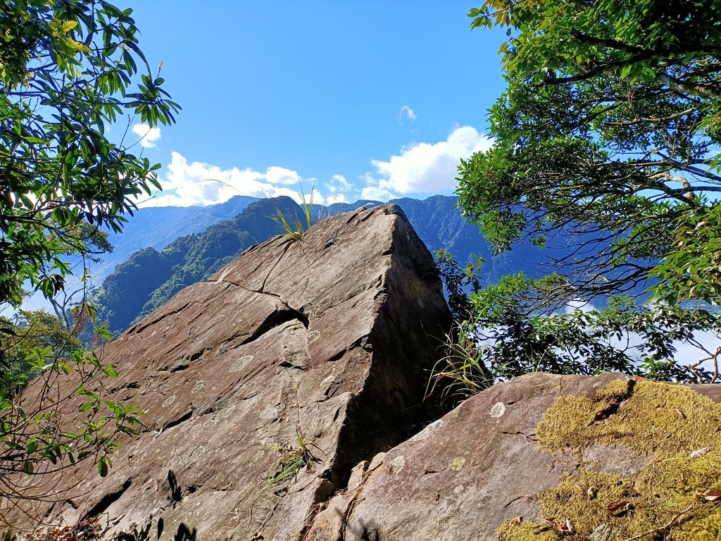 IMG20201205092858.jpg - 鹿谷  溪頭  南鳳凰山